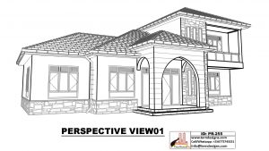 Perspective-View01