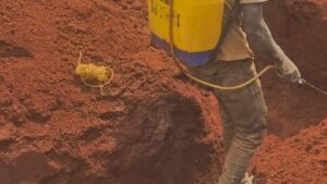 kitukutwe foundation pest