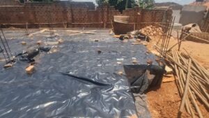 Kito Foundation Kito Foundation